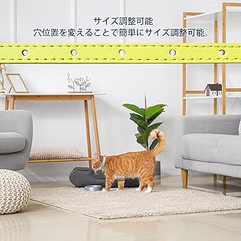 黄色チェック、わんちゃん猫ちゃん用首輪 わんちゃん、猫ちゃん首輪販売のお知らせ‼️ | クイックリペア SEI